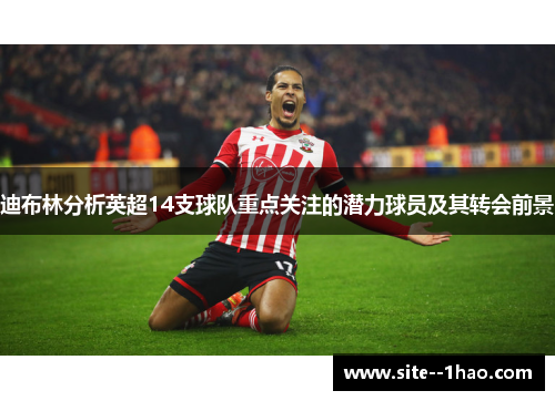 迪布林分析英超14支球队重点关注的潜力球员及其转会前景