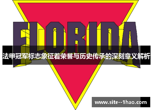 法甲冠军标志象征着荣誉与历史传承的深刻意义解析