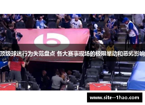 顶级球迷行为失范盘点 各大赛事现场的极限举动和恶劣影响