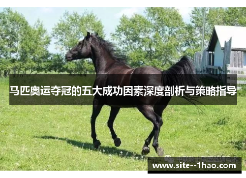 马匹奥运夺冠的五大成功因素深度剖析与策略指导