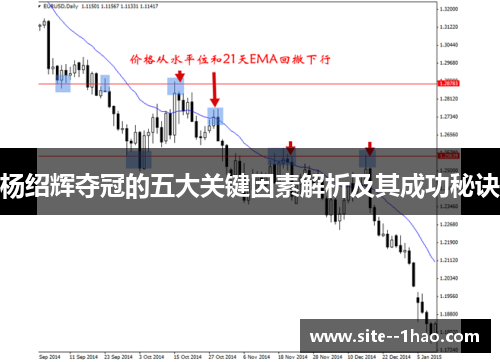杨绍辉夺冠的五大关键因素解析及其成功秘诀