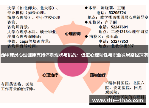 西甲球员心理健康支持体系现状与挑战：促进心理韧性与职业发展路径探索