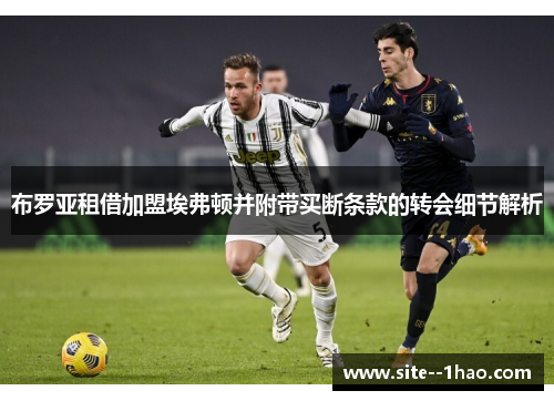 布罗亚租借加盟埃弗顿并附带买断条款的转会细节解析