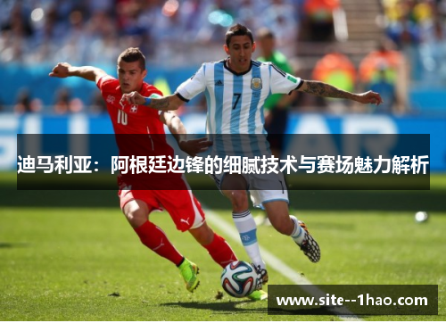 迪马利亚：阿根廷边锋的细腻技术与赛场魅力解析