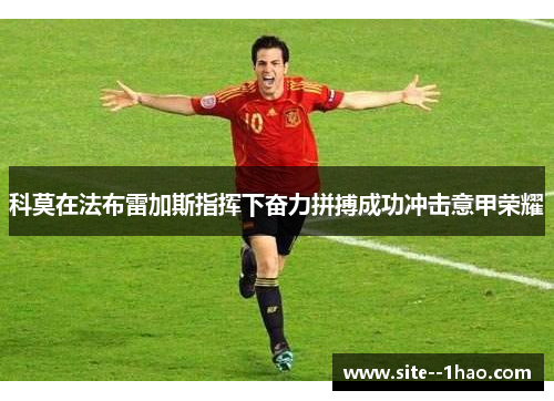 科莫在法布雷加斯指挥下奋力拼搏成功冲击意甲荣耀